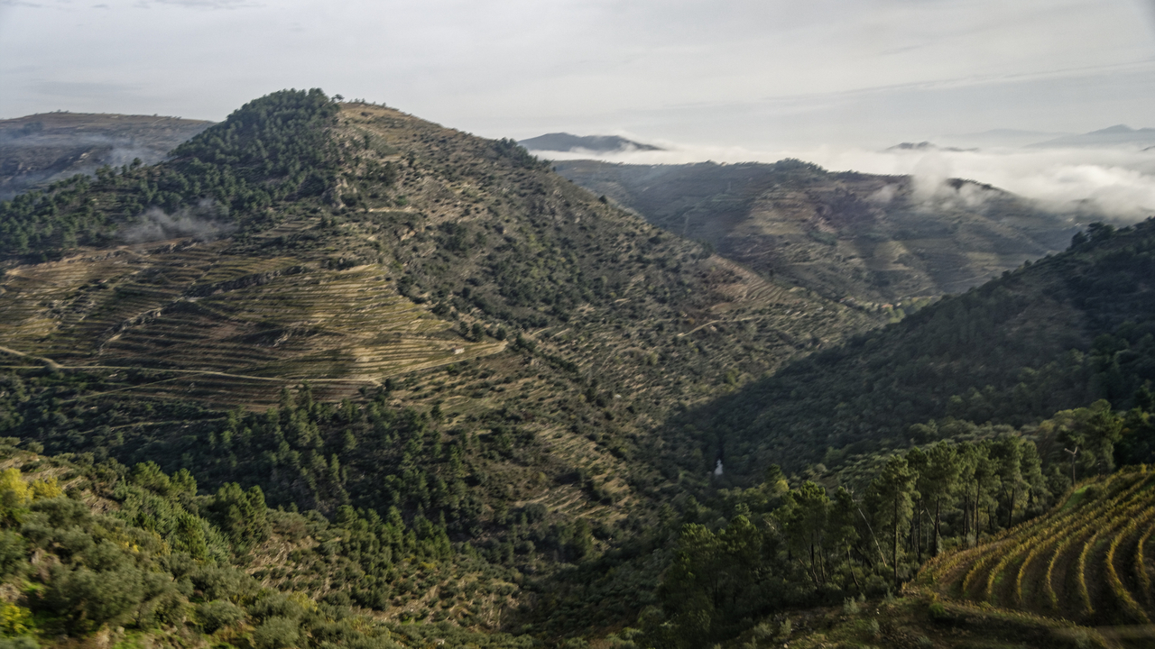 20141024 100738•Carlao e Amieiro•North•Portugal